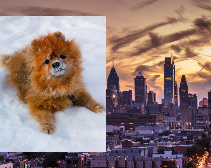 Winter Studio Program Application&nbsp;Open!