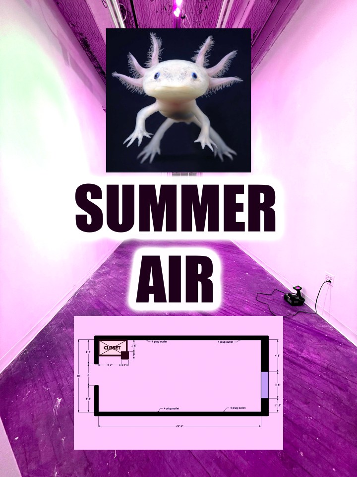  PNP SUMMER RESIDENCY PROGRAM | TWO OPPORTUNITIES!!! JUNE-JULY AND JULY-AUGUST 